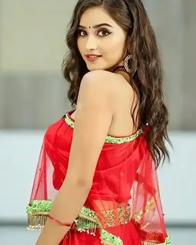 Call Girls Service Rajajipuram